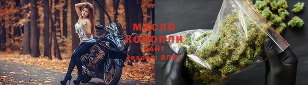 хмурый Арсеньев