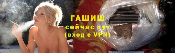 хмурый Арсеньев