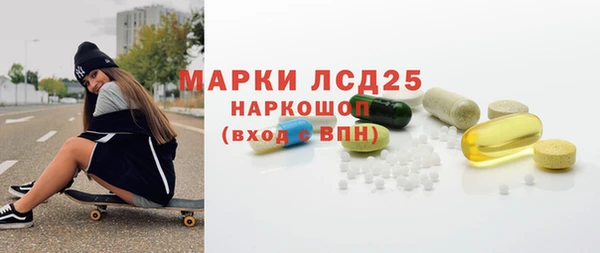 хмурый Арсеньев