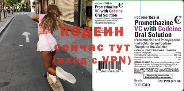 хмурый Арсеньев