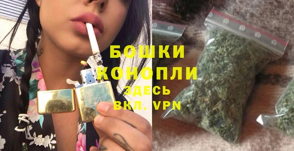 хмурый Арсеньев