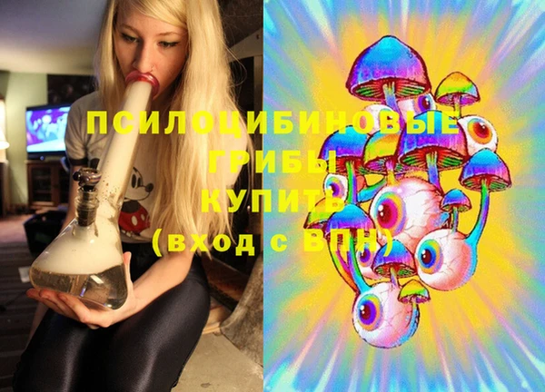 первитин Белокуриха