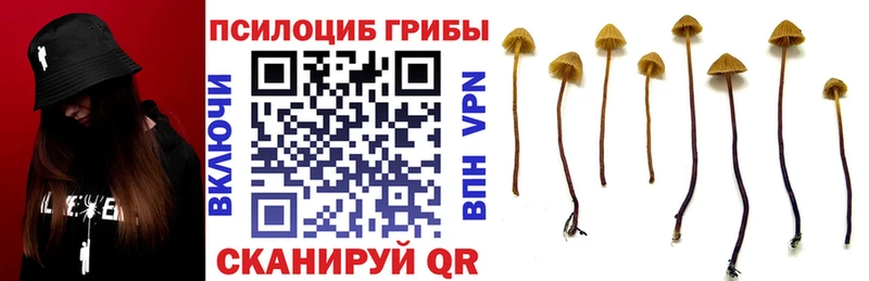 Псилоцибиновые грибы прущие грибы  что такое наркотик  mega сайт  Кяхта 